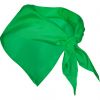 Bandane semplici roly festero poliestere verde irish immagine 1